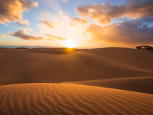 © Adobe Stock - Marktbericht Q2 2023
